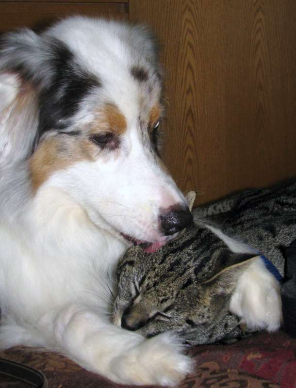 gunner-and-nyahs-bathsb-800-jpg